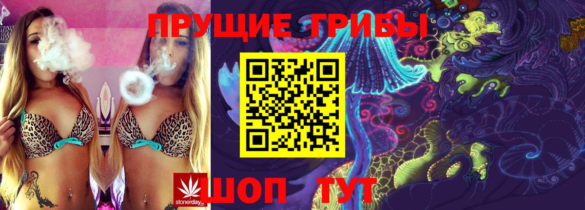 Славгород  Галлюциногенные грибы мицелий  Вход с VPN 